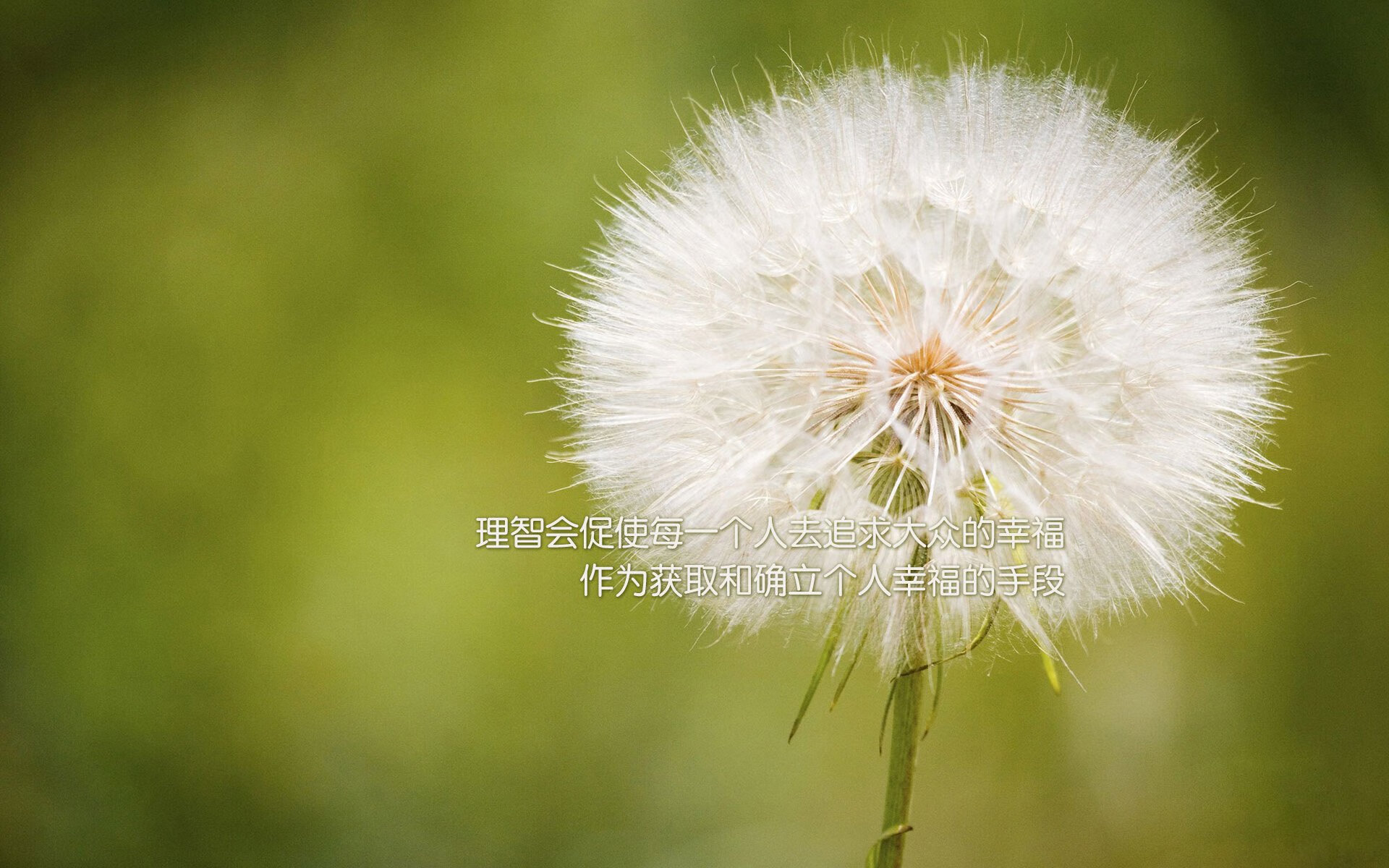 青少年“挑战未来”线上线下“篮球+科技”创新大赛在北京火热举行