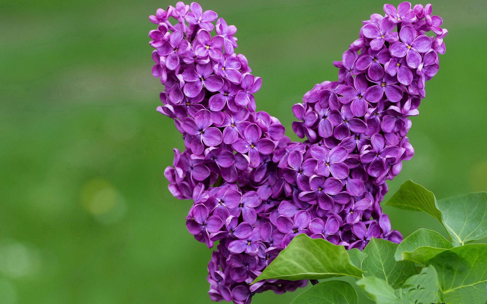 意甲青训体系融合心理韧性训练提升比赛表现