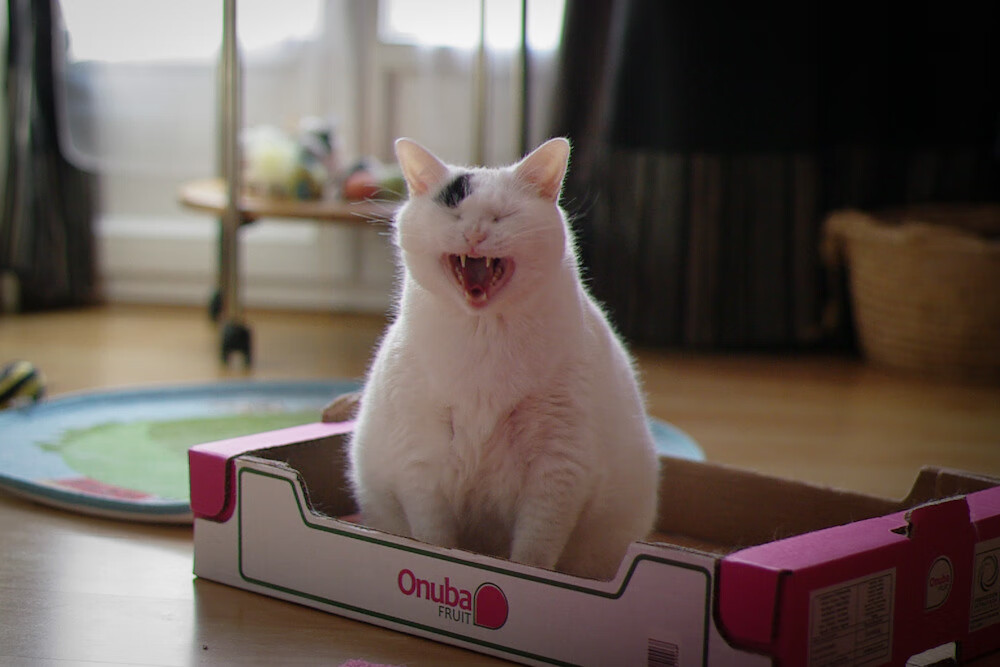 篮球运动员专项心理训练课程开发与实践,篮球运动员心理训练计划