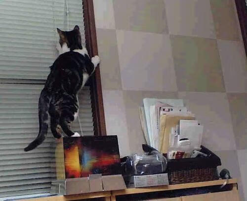 青少年运动心理调适能力提升策略,青少年运动心理调适能力提升策略研究