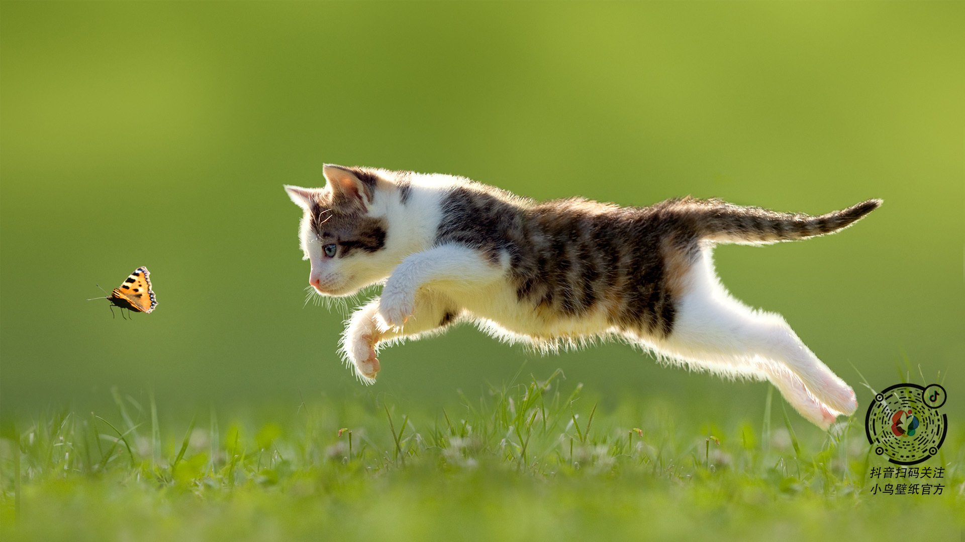 2024年混合团体世界杯:Chinese Taipei实现关键胜利,2024年足球世界杯