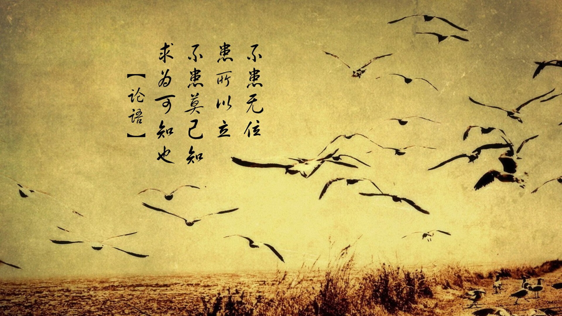 爱游戏在线服务-争冠球队防守稳定性是否优于争四球队，争球权是什么意思