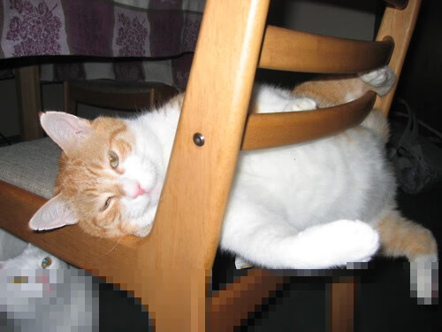 体育新闻中心与高校建立战略合作关系,体育新闻专题报道