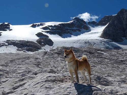 体育新闻中心推动体育短视频内容原创保护,如何创意体育类短视频